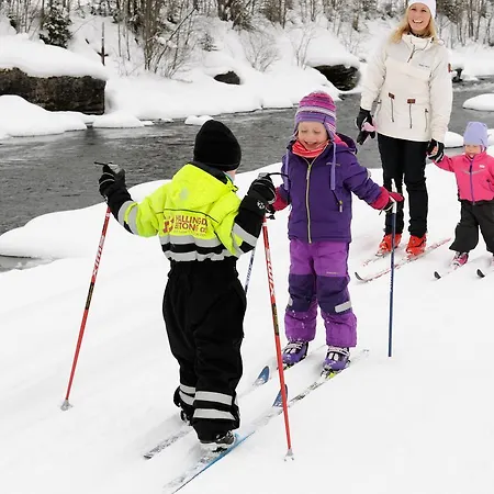 Semesterpark Topcamp Hallingdal - Al 3*