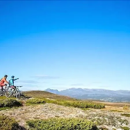 홀리데이파크 Topcamp Hallingdal - Al